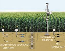 Smart Irrigation